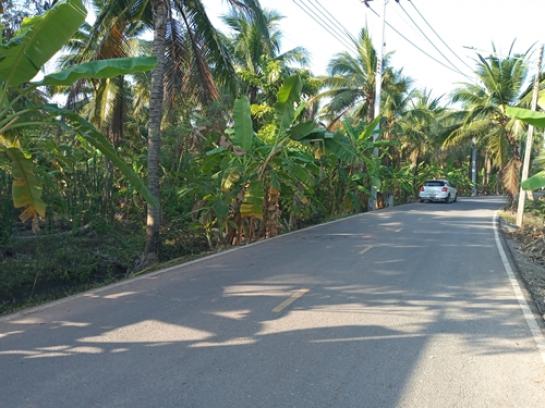 ��·��Թ �ҧ������ط�ʧ����