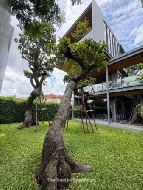 ��º�ҹ�ش���