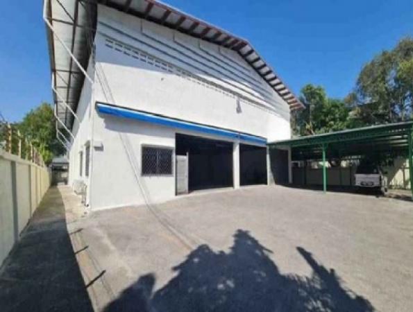 ⡴ѧ������ �ǹ��ǧ��ا෾