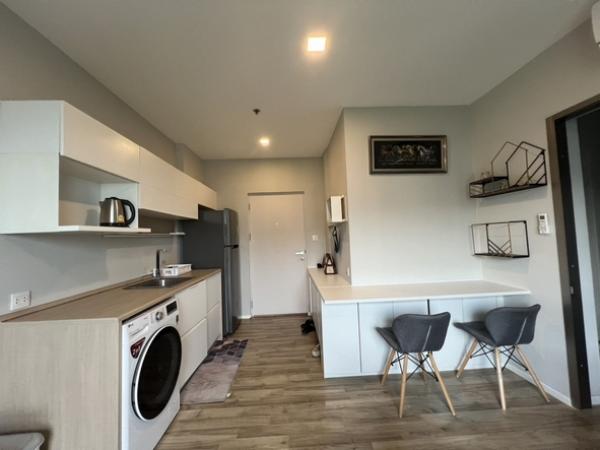 �͹ⴾ������������� �ҧ�ع��¹