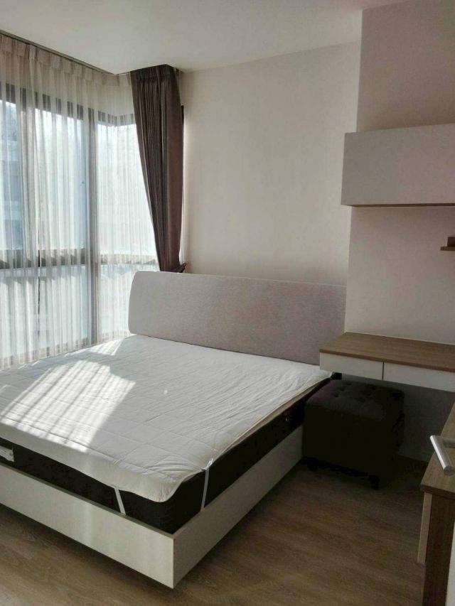 ��¤͹� �Թᴧ