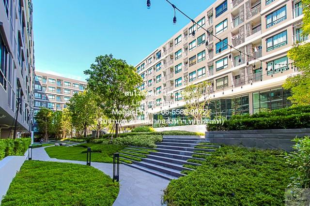 �͹������� �ҧ��