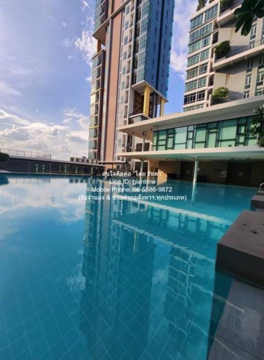 �͹������� �ҧ��