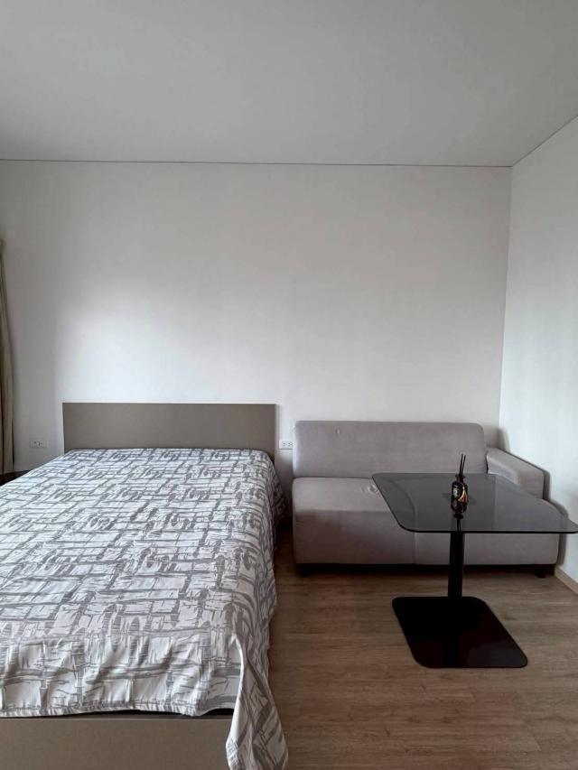 �͹������� �ҧ�