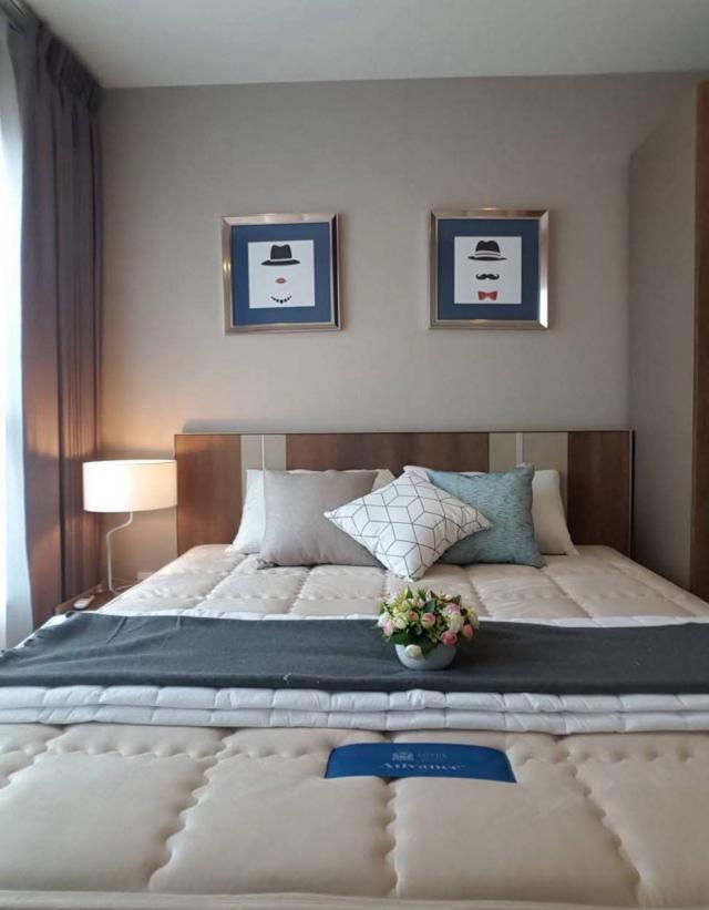 �͹������� ���⢹���ا෾