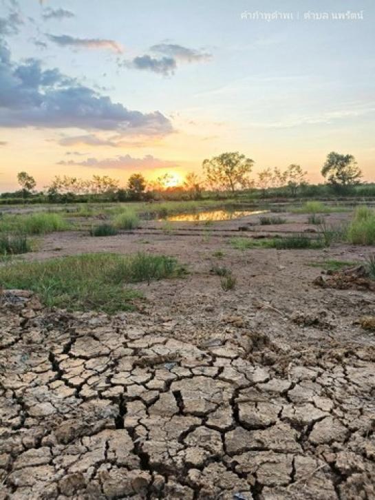 ��·��Թ ˹ͧ���ͻ����ҹ�