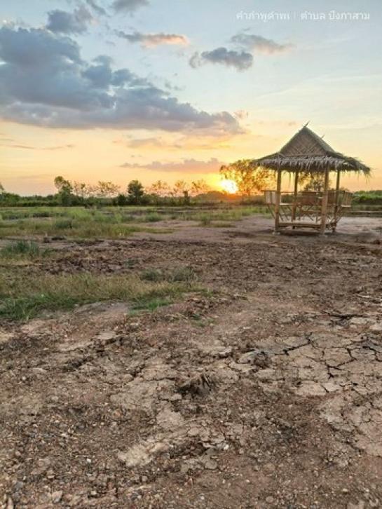 ��·��Թ ˹ͧ���ͻ����ҹ�