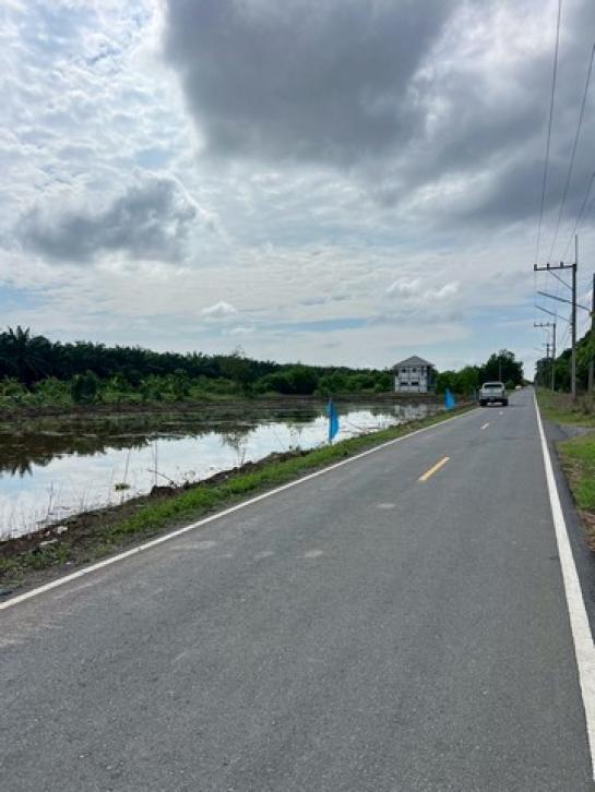 ��·��Թ ˹ͧ���ͻ����ҹ�