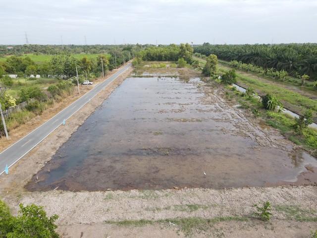 ��·��Թ ˹ͧ���ͻ����ҹ�