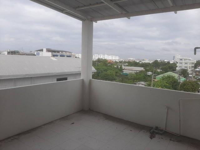 ����Ҥ�þҳԪ�� �ҧ�