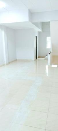 �Ҥ�þҳԪ�������� �ѹ�����