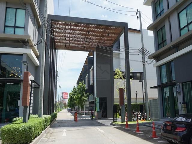 �Ҥ�þҳԪ�������� �֧������ا෾