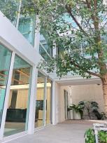 ��ҹ��������