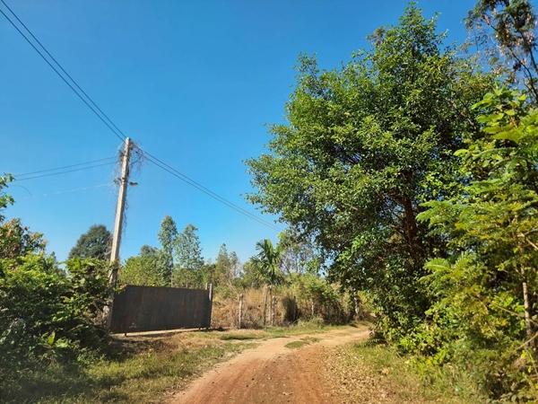 ที่ดินถูกขาย ที่ดินถูกขาย