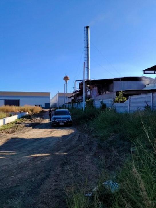 ���Թ �������