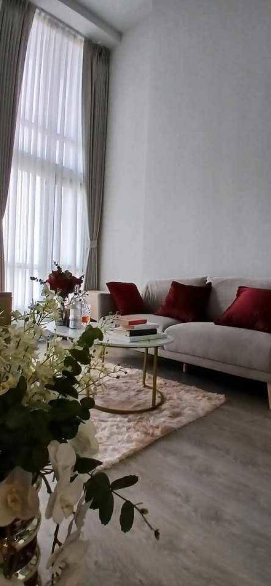 �͹������� �ǹ��ǧ��ا෾