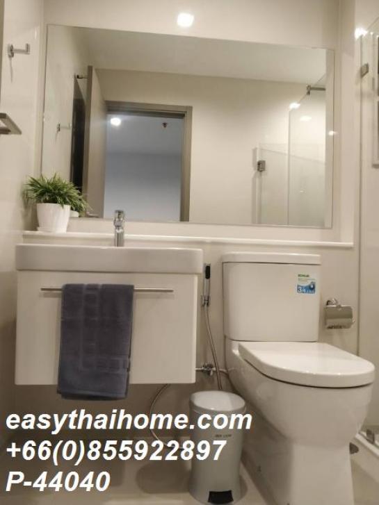 �͹ⴷҧ��ǹ��ȡ �Ҫ���