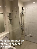 �͹� 26 ���ҧ����