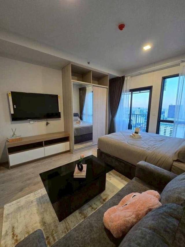 �͹������� �ǹ��ǧ��ا෾