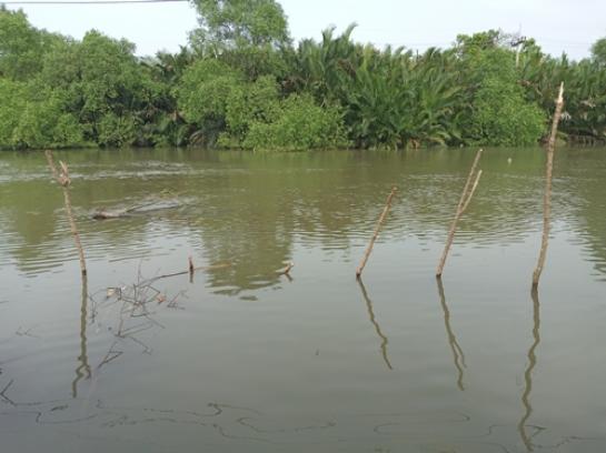 ���Թ 5 ���