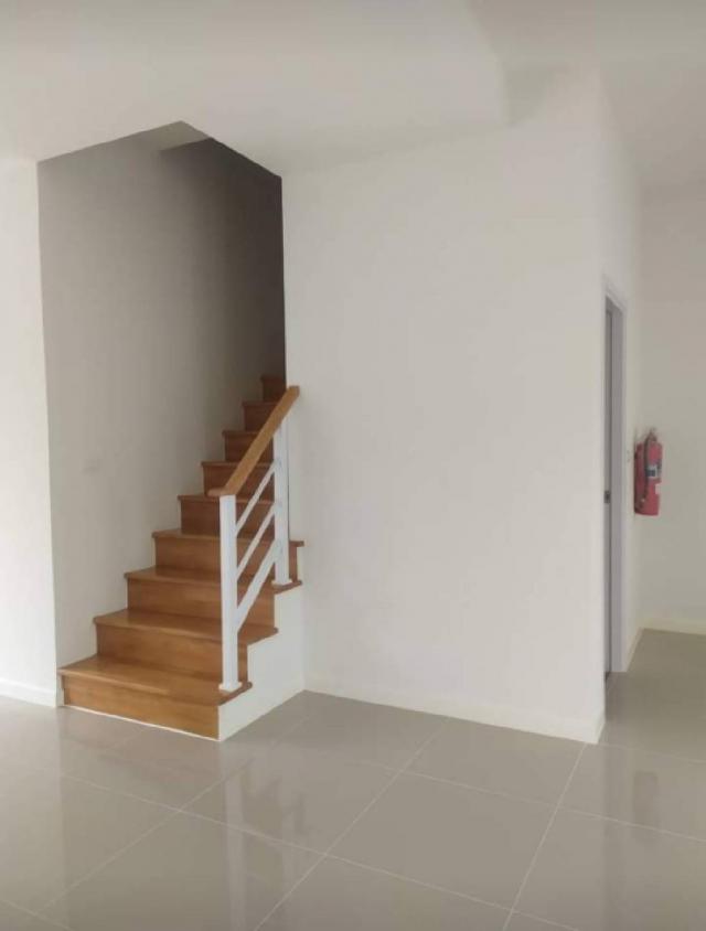 �͹������� �ҧ�����طû�ҡ��