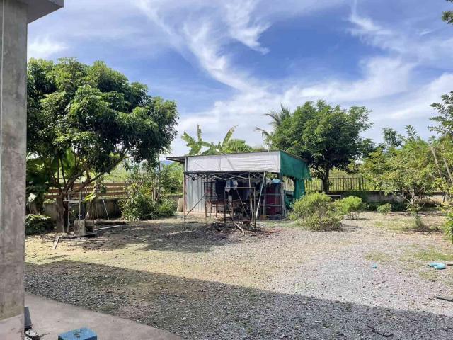 ��º�ҹ �ѹ������§����