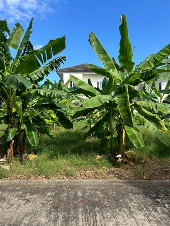 ��·��Թ ���ͧ�����ҹջ����ҹ�