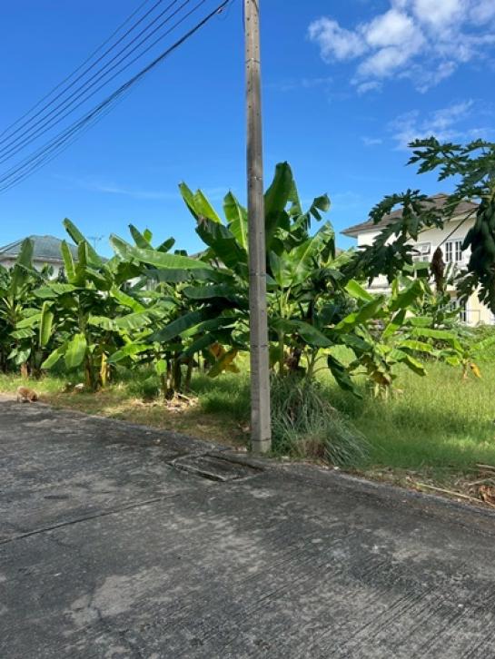 ��·��Թ ���ͧ�����ҹջ����ҹ�