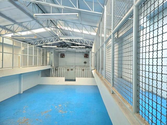 �Ҥ�þҳԪ�������� �ҧ��������ا෾