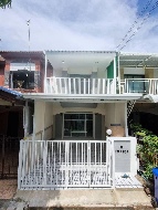 ��ǹ���������������