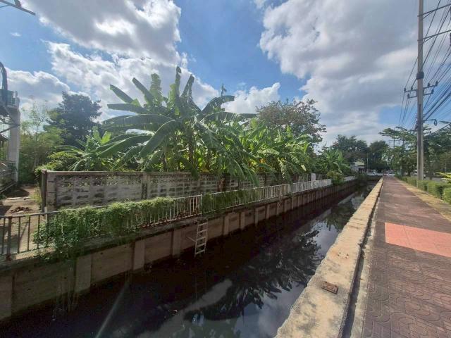 ���Թ �������