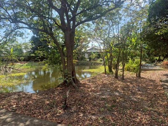 ���Թ������ �͹���ͧ��ا෾