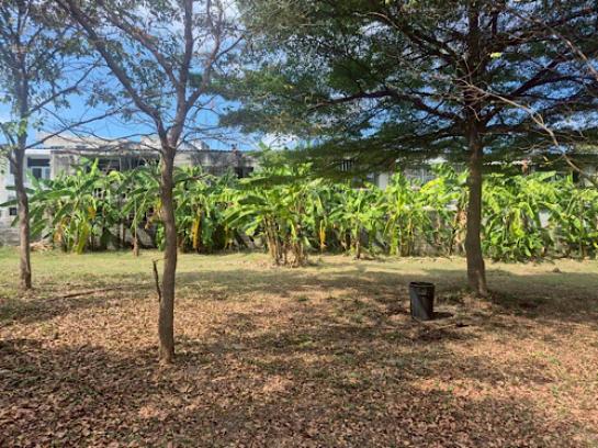 ���Թ������ �͹���ͧ��ا෾