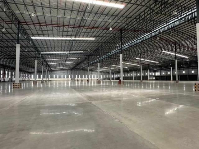 �ç�ҹ������ ��ǡᴧ���ͧ