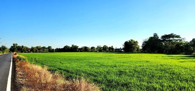 ��·��Թ ͧ��ѡ�칤ù�¡