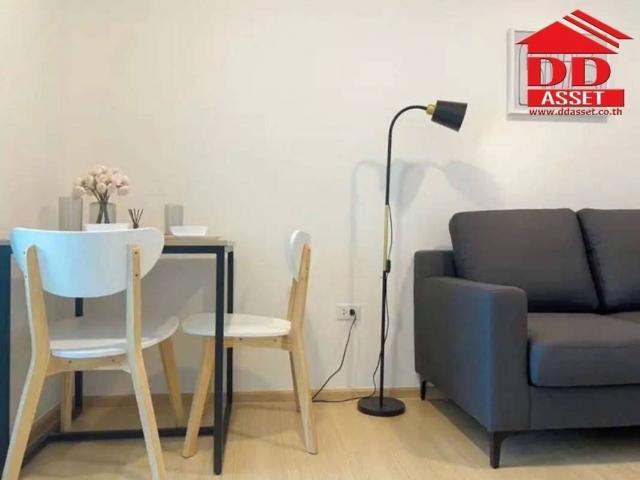 �͹������� �ѧ�ͧ��ҧ