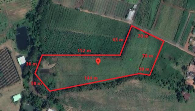 ��·��Թ �ҡ��ͧ����Ҫ����