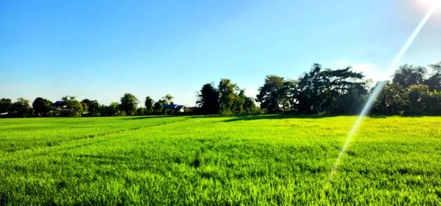 ��·��Թ ͧ��ѡ�칤ù�¡