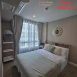 �͹���������