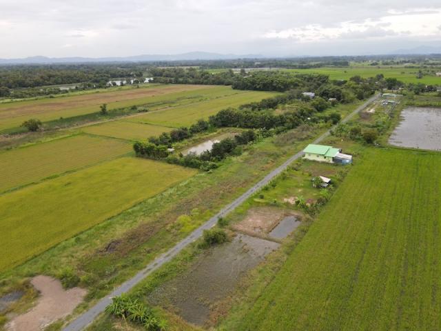 ��·��Թ ��ҹ�ҹ�ù�¡