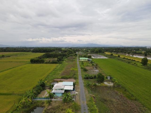 ��·��Թ ��ҹ�ҹ�ù�¡