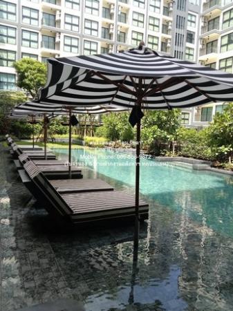 �͹������� �ҧ��