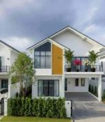 ��ҹ���������