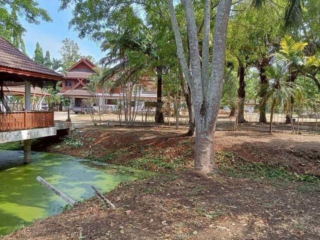 ��º�ҹ �ҧ����§����