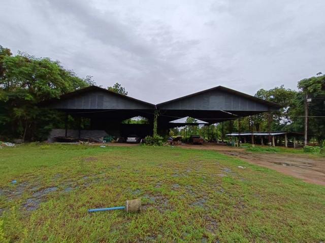 ��º�ҹ ˹ͧ�ͧ��ͧ�͹��