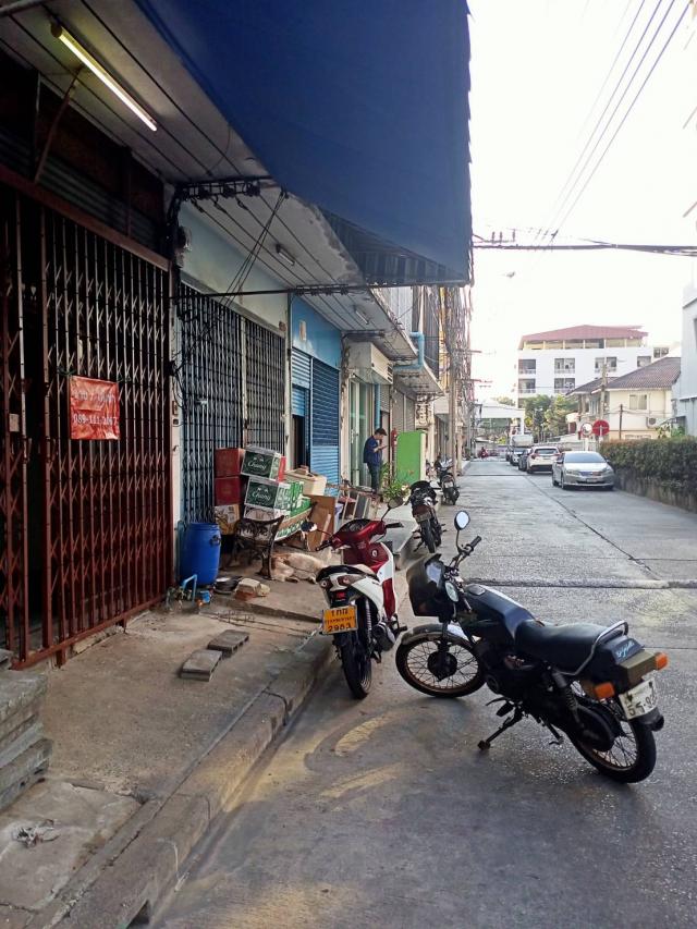 �Ҥ�þҳԪ�������� �ҷá�ا෾