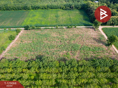 ���Թ �������