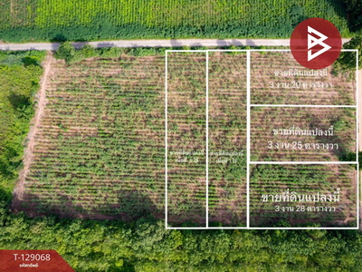 ��·��Թ ���ͧ�شøҹ��شøҹ�