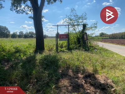 ��·��Թ ���ͧ�شøҹ��شøҹ�