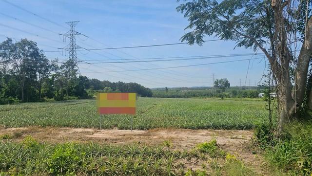 ���Թ ���ͧ